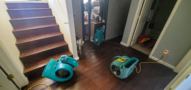 Best 24-hour water damage restoration  in Fortuna Foothills, AZ
