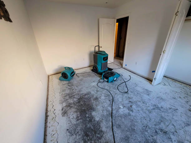 Carpet water damage restoration in AZ