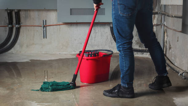 Best Commercial water damage restoration  in Fortuna Foothills, AZ