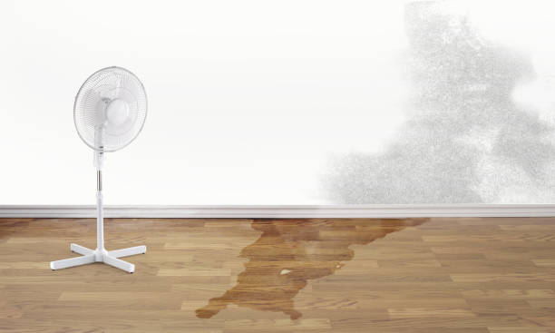 Best Residential water damage restoration  in Fortuna Foothills, AZ