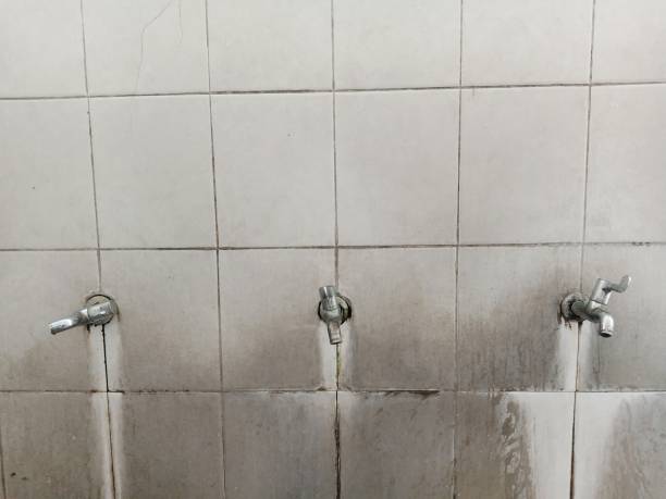 Best Flooded house restoration  in Fortuna Foothills, AZ