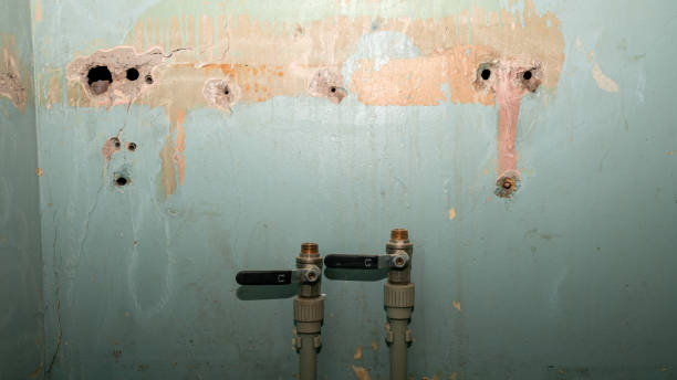 Best Sewage cleanup and water damage restoration  in Fortuna Foothills, AZ