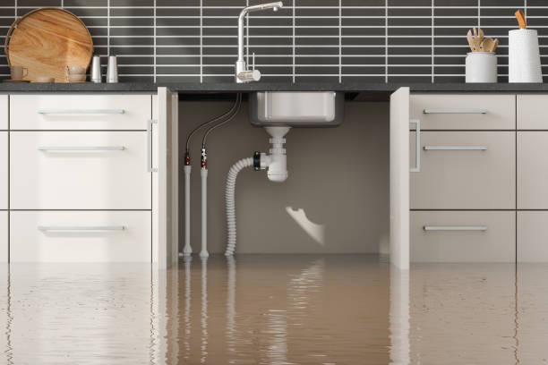 Best Local water damage restoration  in Fortuna Foothills, AZ