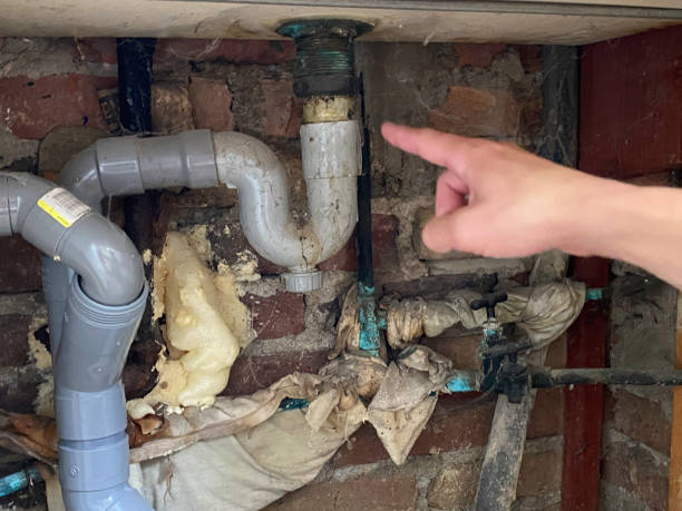 Best 24/7 water damage repair  in Fortuna Foothills, AZ